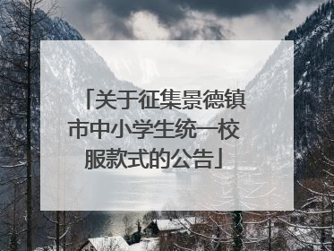 关于征集景德镇市中小学生统一校服款式的公告