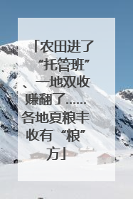 农田进了“托管班”、一地双收赚翻了……各地夏粮丰收有“粮”方