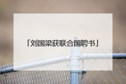 刘国梁获联合国聘书