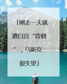 刚走一天就遭白宫“背刺”，马斯克：很失望