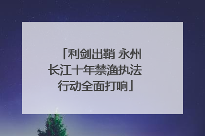 利剑出鞘 永州长江十年禁渔执法行动全面打响