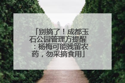 别摘了！成都玉石公园管理方提醒：杨梅可能残留农药，勿采摘食用