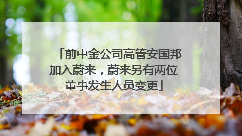 前中金公司高管安国邦加入蔚来，蔚来另有两位董事发生人员变更