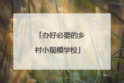 办好必要的乡村小规模学校