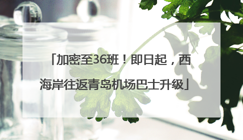 加密至36班！即日起，西海岸往返青岛机场巴士升级