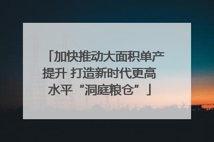 加快推动大面积单产提升 打造新时代更高水平“洞庭粮仓”