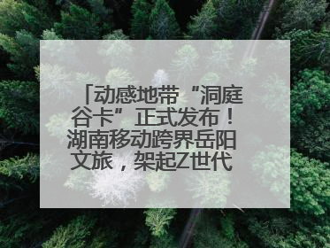 动感地带“洞庭谷卡”正式发布！湖南移动跨界岳阳文旅，架起Z世代文化共振桥梁