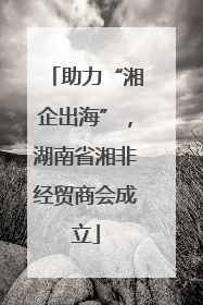助力“湘企出海”，湖南省湘非经贸商会成立