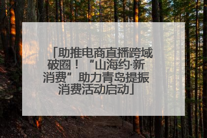 助推电商直播跨域破圈！“山海约·新消费”助力青岛提振消费活动启动