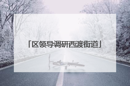 区领导调研西渡街道