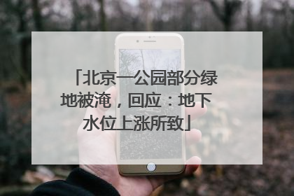 北京一公园部分绿地被淹，回应：地下水位上涨所致