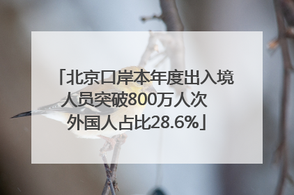 北京口岸本年度出入境人员突破800万人次 外国人占比28.6%