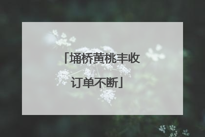 埇桥黄桃丰收 订单不断
