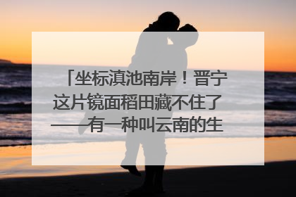 坐标滇池南岸！晋宁这片镜面稻田藏不住了——有一种叫云南的生活之365天