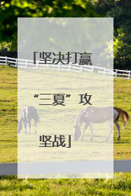 坚决打赢“三夏”攻坚战