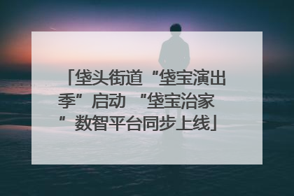 垡头街道“垡宝演出季”启动 “垡宝治家”数智平台同步上线