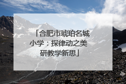 合肥市琥珀名城小学：探律动之美 研教学新思