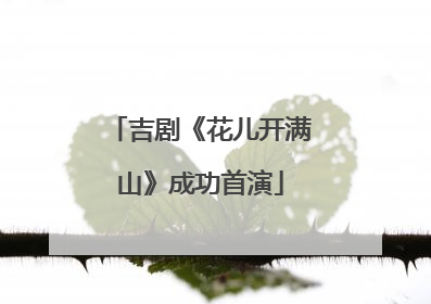 吉剧《花儿开满山》成功首演