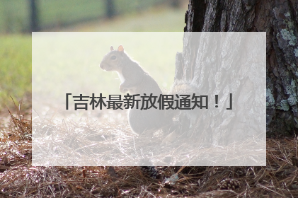吉林最新放假通知！