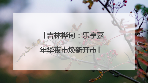 吉林桦甸：乐享嘉年华夜市焕新开市