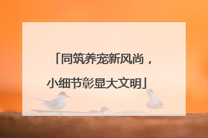 同筑养宠新风尚，小细节彰显大文明