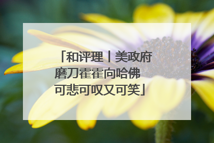 和评理丨美政府磨刀霍霍向哈佛 可悲可叹又可笑