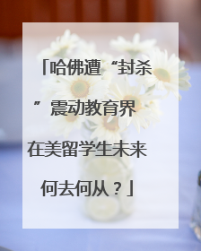 哈佛遭“封杀”震动教育界 在美留学生未来何去何从？