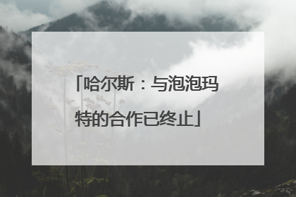 哈尔斯：与泡泡玛特的合作已终止