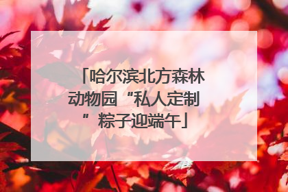 哈尔滨北方森林动物园“私人定制”粽子迎端午