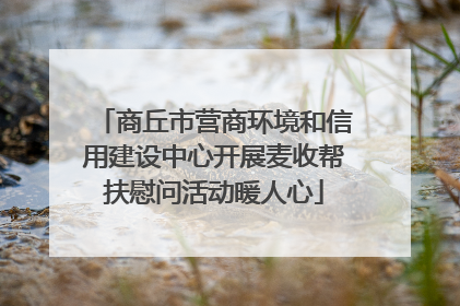 商丘市营商环境和信用建设中心开展麦收帮扶慰问活动暖人心