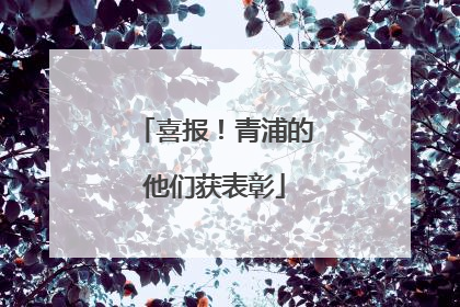 喜报！青浦的他们获表彰