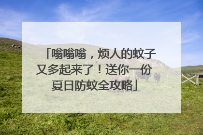 嗡嗡嗡，烦人的蚊子又多起来了！送你一份夏日防蚊全攻略