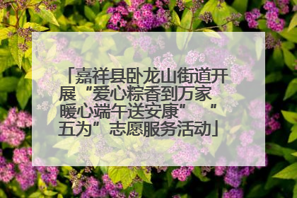 嘉祥县卧龙山街道开展“爱心粽香到万家 暖心端午送安康” “五为”志愿服务活动