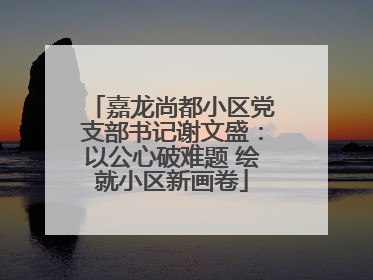 嘉龙尚都小区党支部书记谢文盛：以公心破难题 绘就小区新画卷