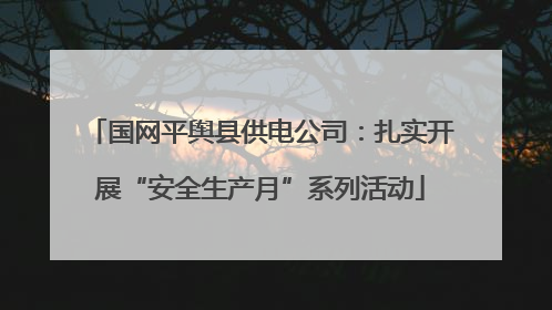 国网平舆县供电公司：扎实开展“安全生产月”系列活动