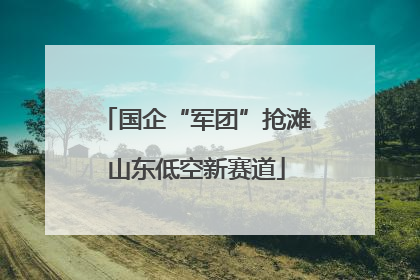 国企“军团”抢滩山东低空新赛道