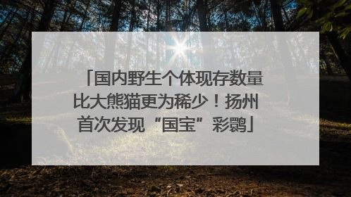 国内野生个体现存数量比大熊猫更为稀少！扬州首次发现“国宝”彩鹮