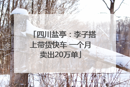 四川盐亭：李子搭上带货快车 一个月卖出20万单