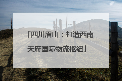 四川眉山：打造西南天府国际物流枢纽