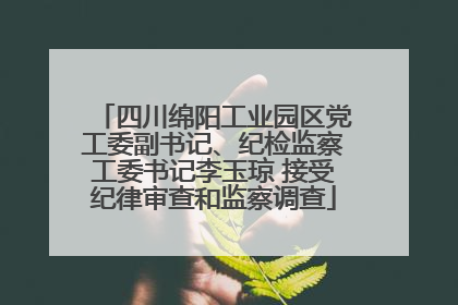 四川绵阳工业园区党工委副书记、纪检监察工委书记李玉琼 接受纪律审查和监察调查