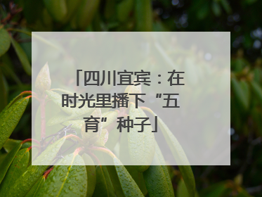 四川宜宾：在时光里播下“五育”种子