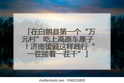 在白朗县第一个“万元村”吃上高原车厘子！济南援藏这样践行“一茬接着一茬干”
