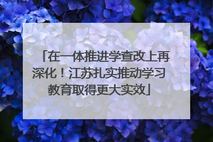 在一体推进学查改上再深化！江苏扎实推动学习教育取得更大实效