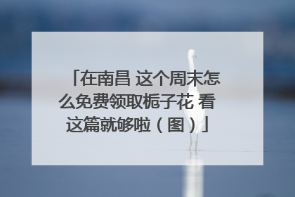 在南昌 这个周末怎么免费领取栀子花 看这篇就够啦（图）