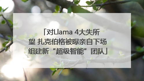 对Llama 4大失所望 扎克伯格被曝亲自下场组建新“超级智能”团队