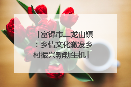 富锦市二龙山镇：乡情文化激发乡村振兴勃勃生机