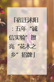 宿迁沭阳：五年“诚信实验”擦亮“花木之乡”招牌