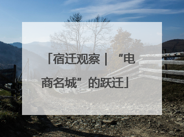 宿迁观察｜“电商名城”的跃迁