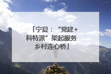 宁夏：“党建+科特派”架起服务乡村连心桥