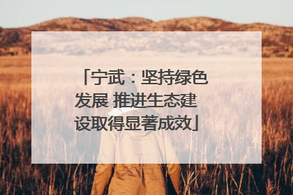 宁武：坚持绿色发展 推进生态建设取得显著成效